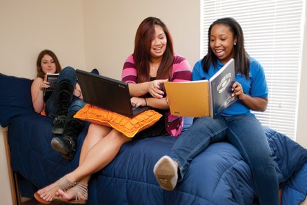 three students studying