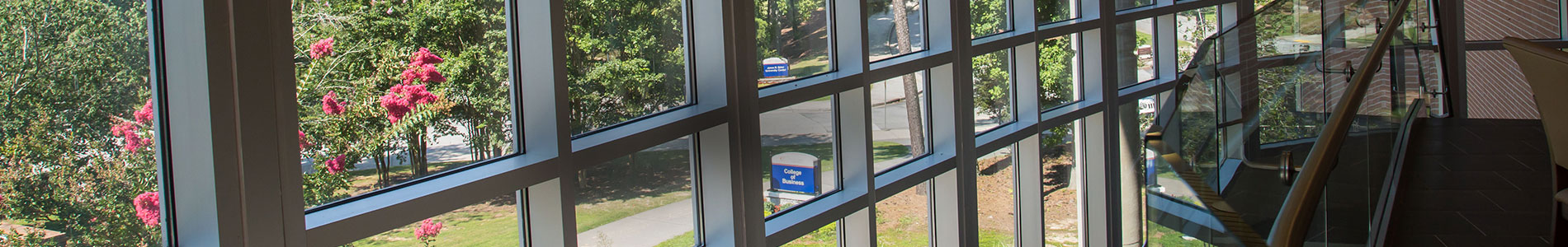 College of Business Advising banner image