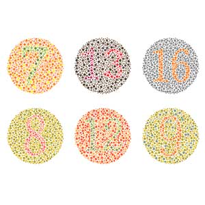 6 circles showing numbers