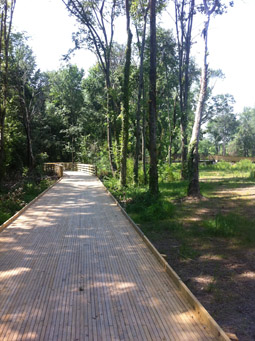 morrow pathway